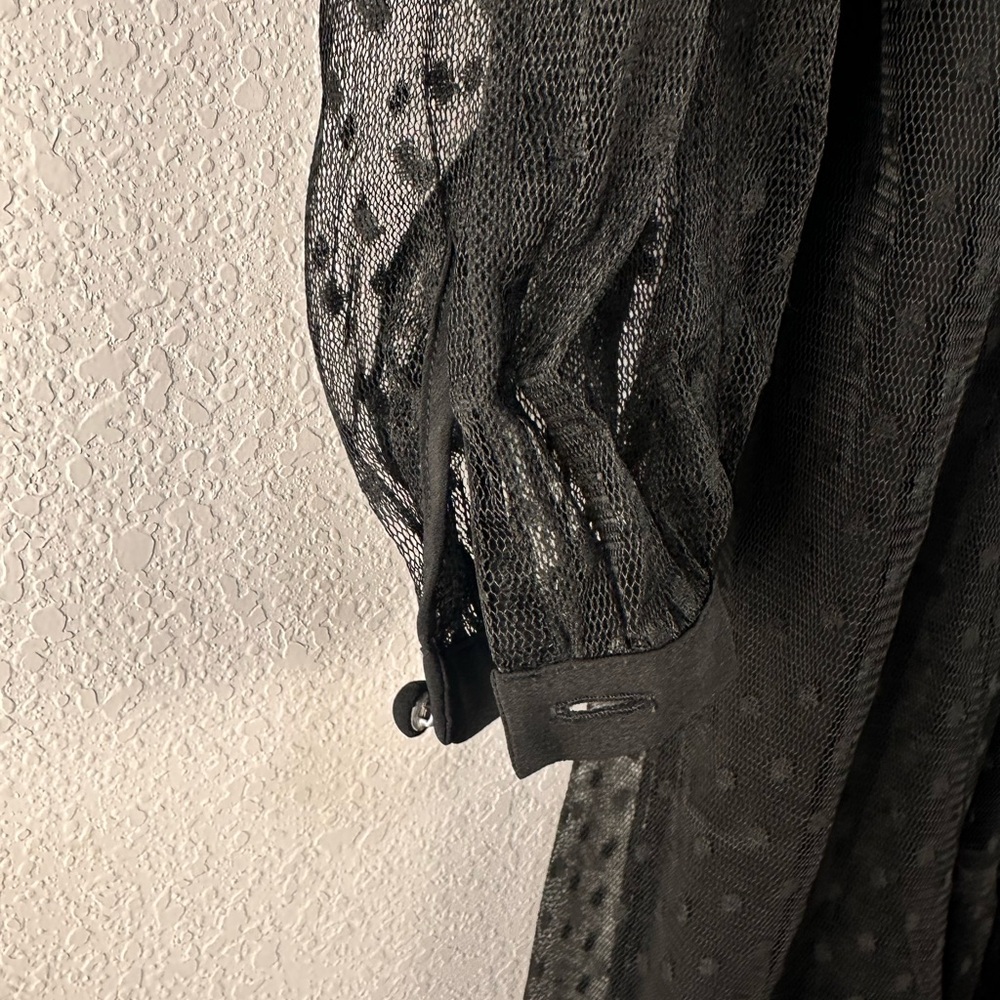 CAbi Black Sheer Theatre Dress - Picture 4 of 6